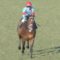 【競馬】戸崎がミルFやマイネルに売り込みしてるらしいww