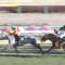 【競馬】ダノンプラチナ登録抹消、南アフリカで種牡馬に