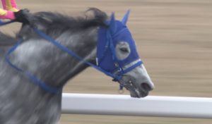 【競馬/平安S】テイエムジンソクの次の騎手 →武豊待望論