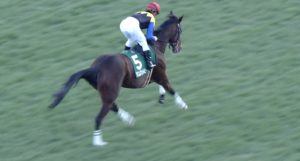 【競馬】デニムアンドルビー号が競走馬登録抹消
