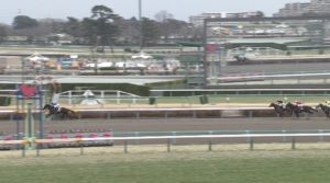 【競馬/マーチS】ハイランドピークってもしかすると化け物級のダート馬なんじゃないの？