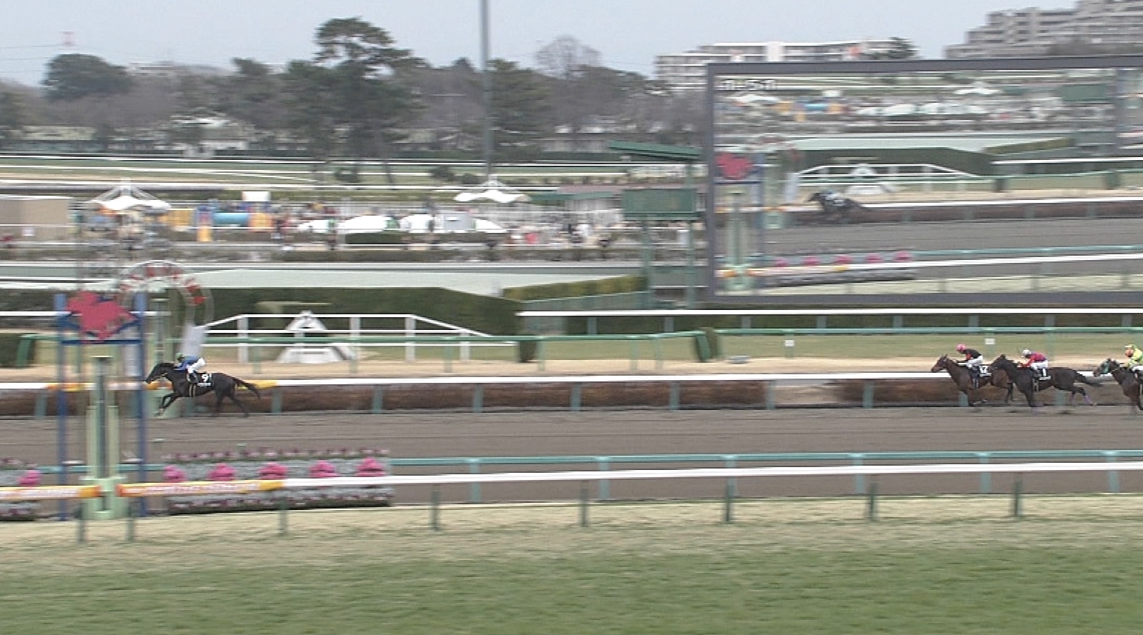 【競馬/マーチS】ハイランドピークってもしかすると化け物級のダート馬なんじゃないの？