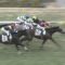 【競馬】3歳最後の大物フィエールマン首差圧勝強すぎ！！！！！