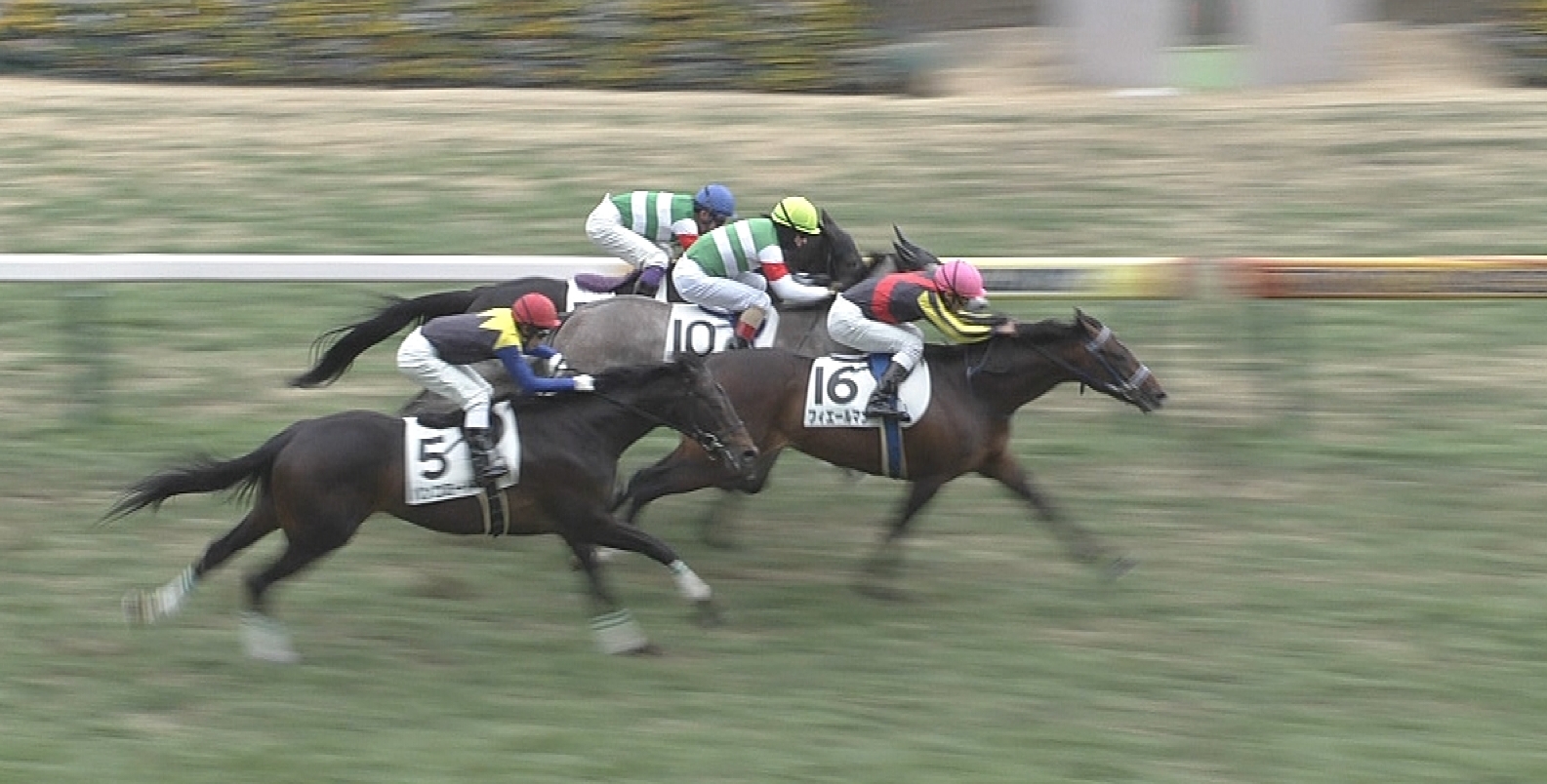 【競馬/菊花賞】フィエールマン強すぎワロタｗｗｗｗｗｗ　武豊3着クソワロタｗｗｗｗｗｗｗ
