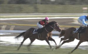 【競馬】天才騎手戸崎、ホウオウドリームを溜殺し