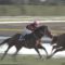 【競馬】天才騎手戸崎、ホウオウドリームを溜殺し