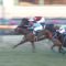 【競馬】戸崎さん、早くも獲得賞金でミルコに抜かれる