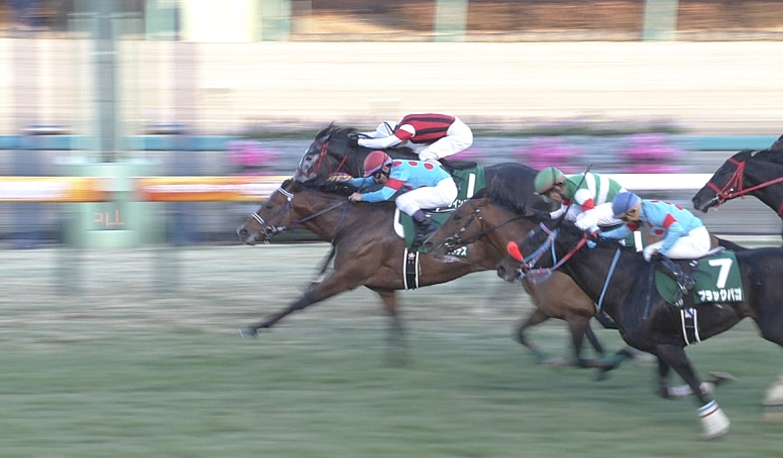 【競馬】ストレンジクォーク(牡6)死亡。鳴尾記念後に蹄葉炎を発症し