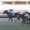 【競馬】ジェネラーレウーノはクラシックでどれだけ活躍出来るか？