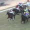 【競馬】京都9R梅花賞で大斜行しちゃった和田さんもアウト？