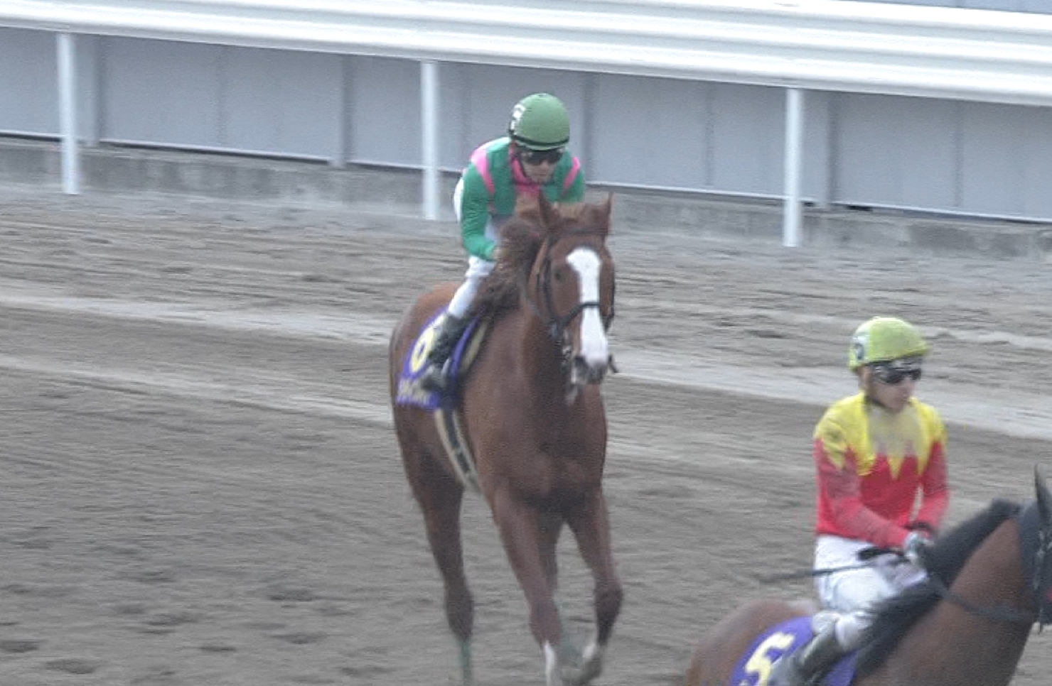 【競馬・帝王賞】悲報・・ケイティブレイブ長岡さん、掲示板外までぶっ飛んだのにnetkeibaで称賛されてしまう