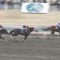 【競馬/川崎記念】福永祐一ケイティブレイブ逃げ切り楽勝！2着アポロ、3着アウォーディー