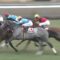 【競馬/ダイヤモンドS】福永また名言・3着ソールインパクト「目指すべき道は見えた」