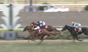 【競馬】藤原英昭厩舎 35勝(1位) 勝率.285(1位) 連帯率.488(1位)