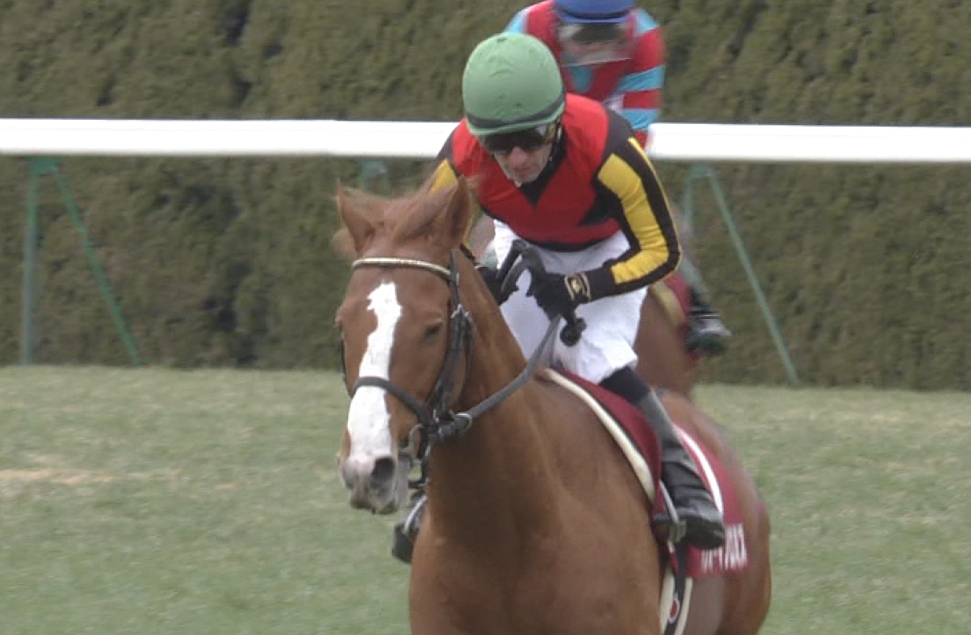 【競馬】オルフェーヴル産駒が年明けからメキメキと強くなってきてる件