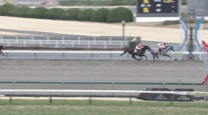 【競馬/東海S】テイエムジンソク直線入ってもまったく全力出さず