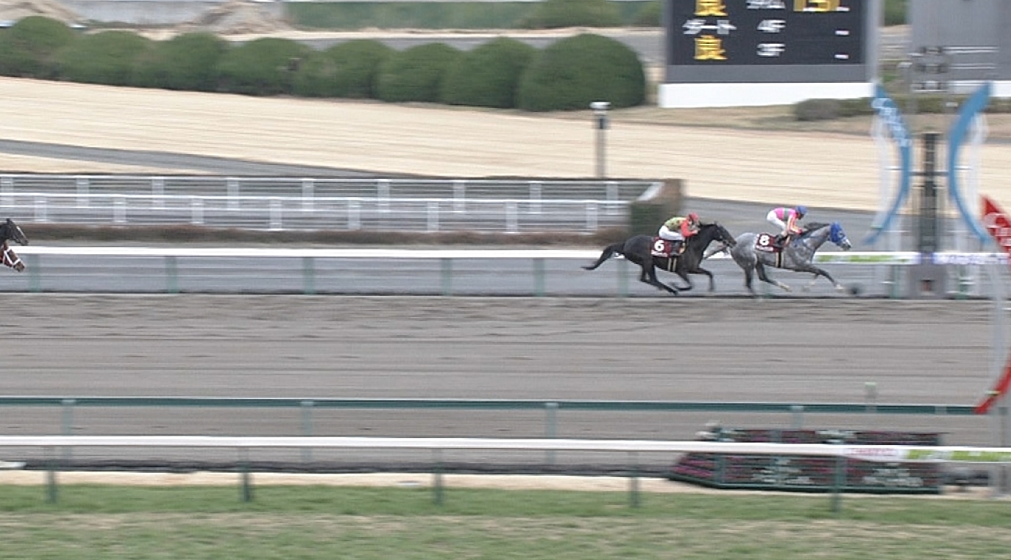 【競馬/東海S】テイエムジンソク直線入ってもまったく全力出さず