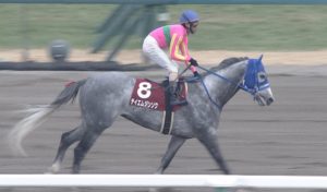 【競馬/平安S】グレイトパール、テイエムジンソクのせいで人生終了した奴集合ｗｗｗｗｗｗｗ