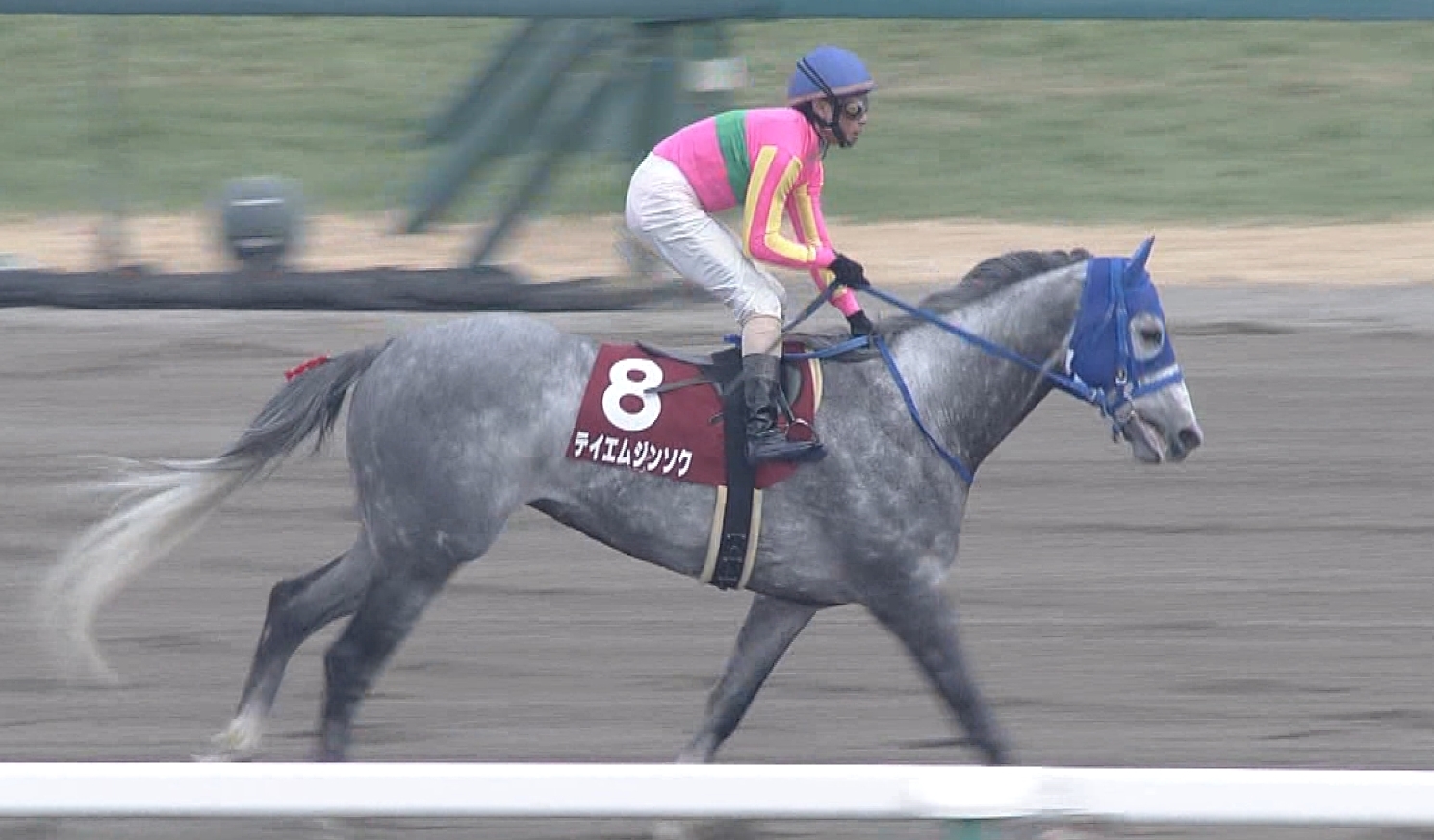 【競馬/平安S】グレイトパール、テイエムジンソクのせいで人生終了した奴集合ｗｗｗｗｗｗｗ