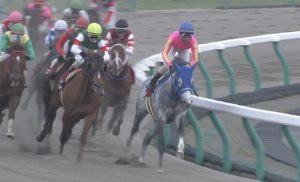 【競馬/日本テレビ盃】古川またテイエムジンソクで糞逃げワロタwwwwwwwwwww 【競馬/日本テレビ盃】古川またテイエムジンソクで糞逃げワロタwwwwwwwwwww
