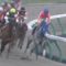 【競馬】テイエムジンソク武豊あるよな？