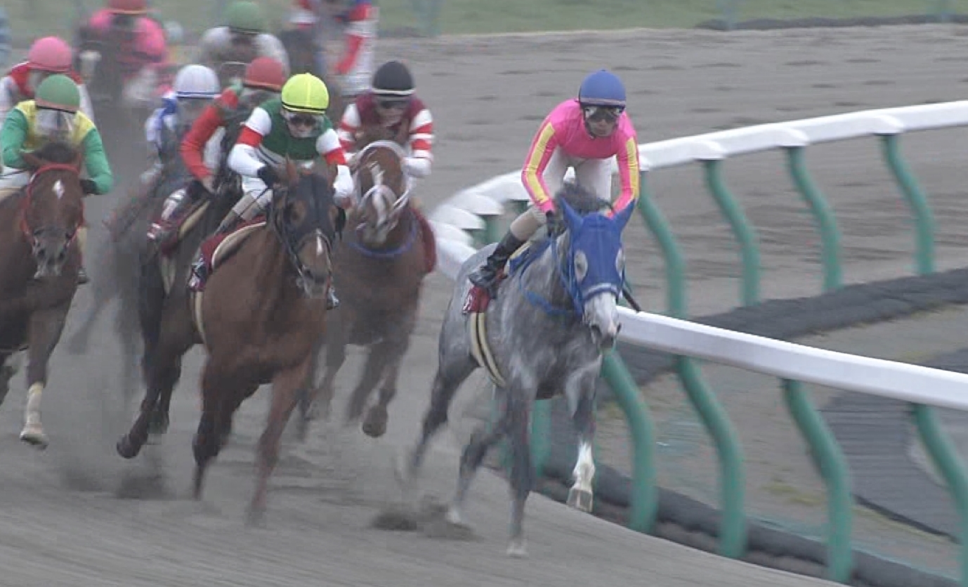 【競馬/JBCクラシック】テイエムジンソク古川、逃げにはこだわらず「行きたくて行ってるわけではない」