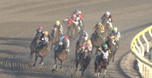 【競馬/根岸S】根岸ステークス１０００ｍ通過５６秒６ｗｗｗｗｗｗｗｗｗｗｗ