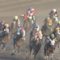 【競馬/根岸S】根岸ステークス１０００ｍ通過５６秒６ｗｗｗｗｗｗｗｗｗｗｗ