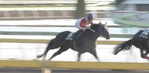 【競馬】カフジテイク、フェブラリーS除外の危機 ケイティブレイブ・アウォーディー等の川崎記念組が参戦で