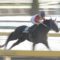 【競馬/根岸S】カフジテイク3着・福永ｗｗｗｗｗｗｗｗ