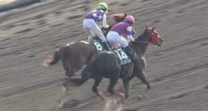【競馬/フェブラリーS】ノンコノユメに10万いくか迷ってる