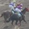 【競馬/フェブラリーS】ノンコノユメに10万いくか迷ってる