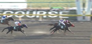 【競馬】フェブラリーSの1番人気が全く読めない件