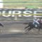 【競馬/根岸S】ノンコノユメに何度も何度も騙されるアホ