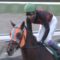 【競馬】土曜中山でブラックムーン復活！