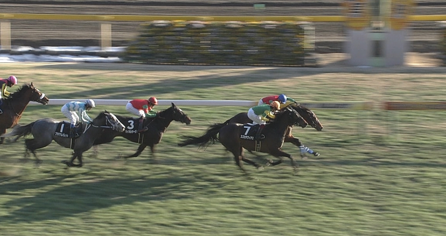 【競馬】マイネルハニー&マイネルサージュが豪遠征へ