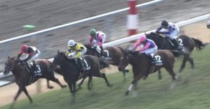 【競馬】悲報…年度代表糞騎乗大賞、もうF騎手で決まってしまう