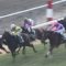 【競馬】悲報…年度代表糞騎乗大賞、もうF騎手で決まってしまう