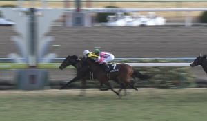 【競馬】福永さん、また詰まる・・京都9Rサフランハート2着