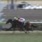 【競馬】福永さん、また詰まる・・京都9Rサフランハート2着