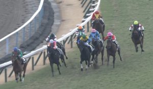 【競馬/若駒S】期待のディープ2頭惨敗ｗｗｗ フォックスクリーク5着・スーパーフェザー6着