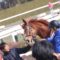 【競馬】[画像] 池添を見るオルフェの妹デルニエオールが相変わらず目付きがヤバすぎるｗｗｗｗｗｗ