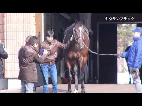 【競馬】種牡馬オルフェーヴルの紹介コメントが苦しすぎる「今年は若干種付け料を下げまして500万円で えぇ…」 【競馬】種牡馬オルフェーヴルの紹介コメントが苦しすぎる「今年は若干種付け料を下げまして500万円で えぇ…」