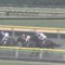 【競馬】今年のレース見て思ったけどフェブラリー連覇したトランセンドって実は強かったんだな
