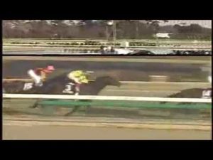 【競馬】なんでディープインパクト有馬記念負けたの？