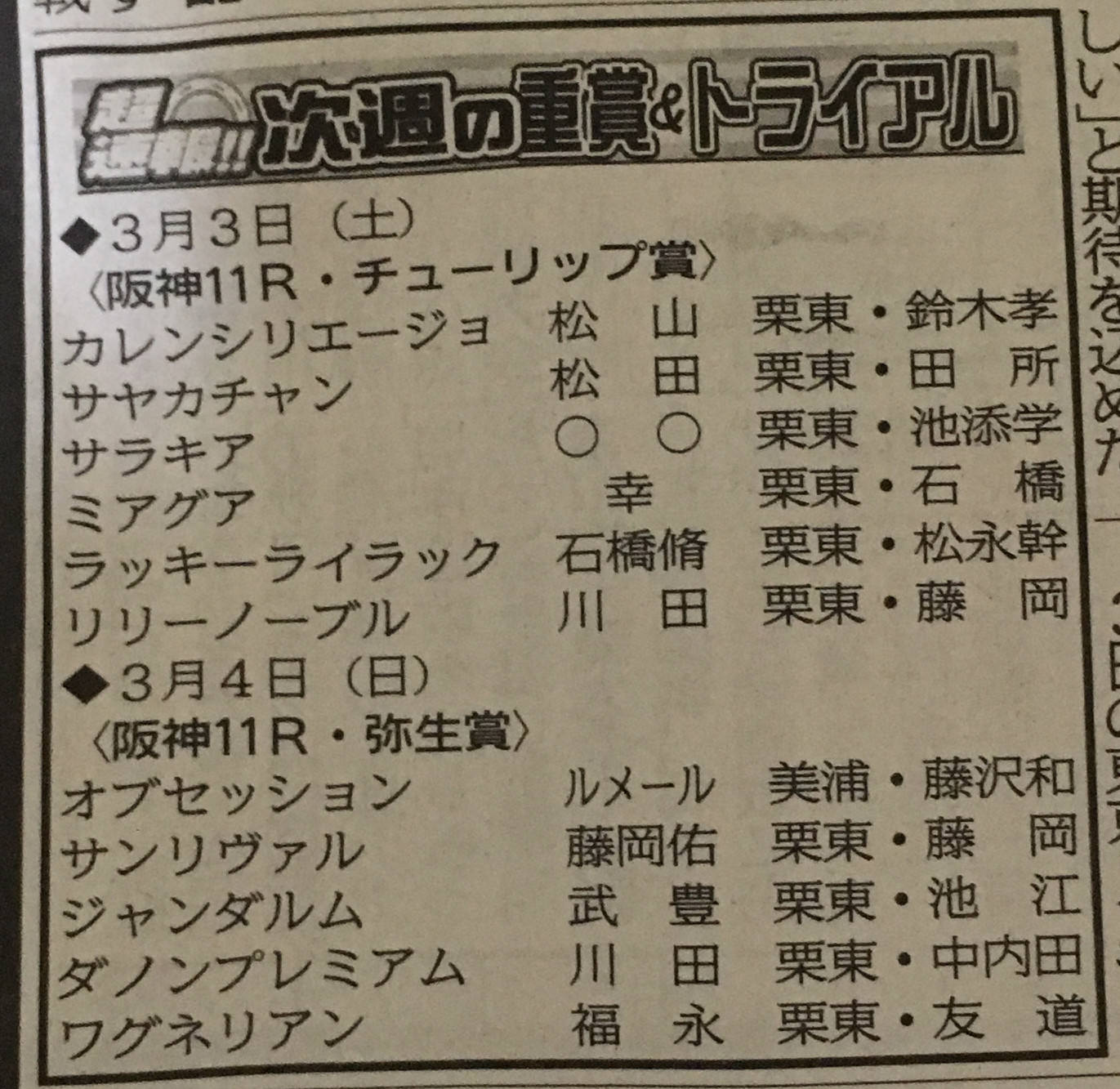 【競馬】弥生賞5頭立てのサンリヴァルは田辺から鞍上変更。ジェネラーレウーノ選択か