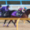 【競馬】藤岡(フ)がワグネリアンの弥生賞1週前の調教に乗ってるんだけど