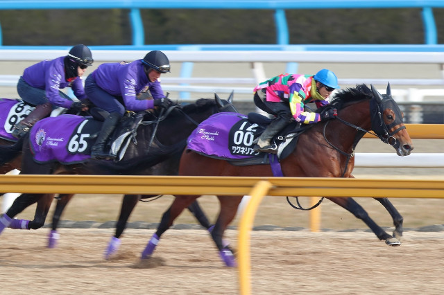 【競馬】藤岡(フ)がワグネリアンの弥生賞1週前の調教に乗ってるんだけど