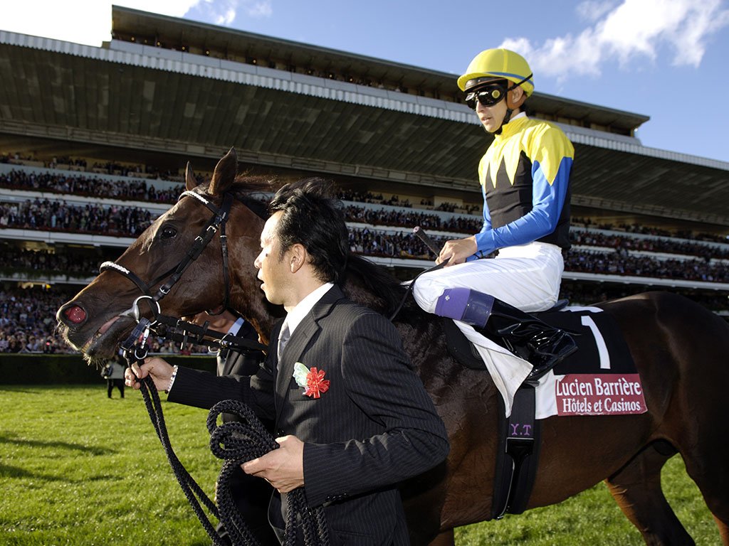 【競馬】武豊とアンカツがデビューから引退までずっと乗り続けた馬ｗｗｗｗｗｗ