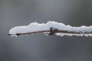 【競馬板】東京「積雪3センチで大雪です!」 【競馬板】東京「積雪3センチで大雪です!」